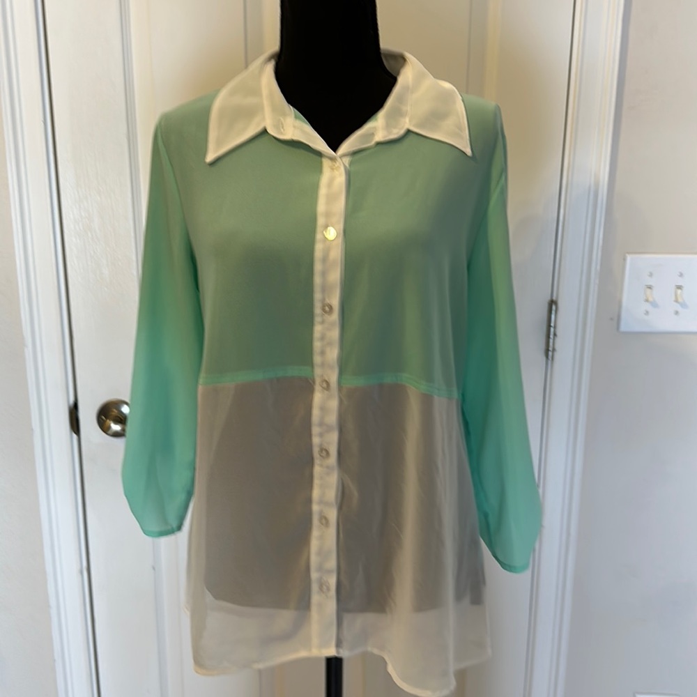 iz Byer size L button down mint and white sheer blouse